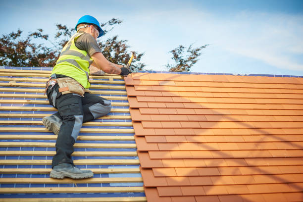 Steel Roofing in Hillandale, MD